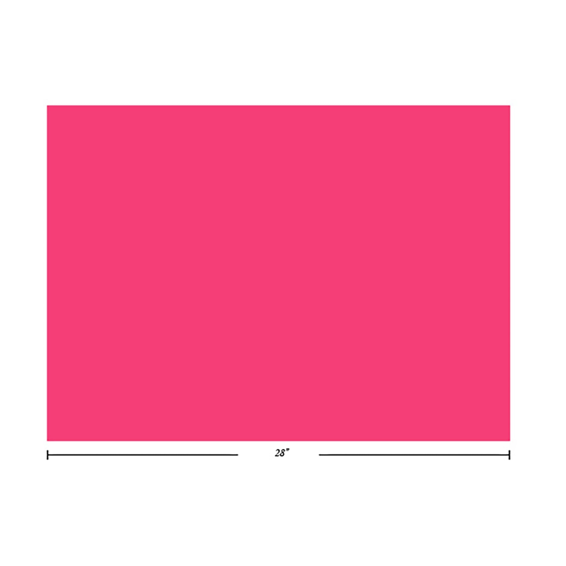 Bristol Poster Board Neon Pink 22x28in