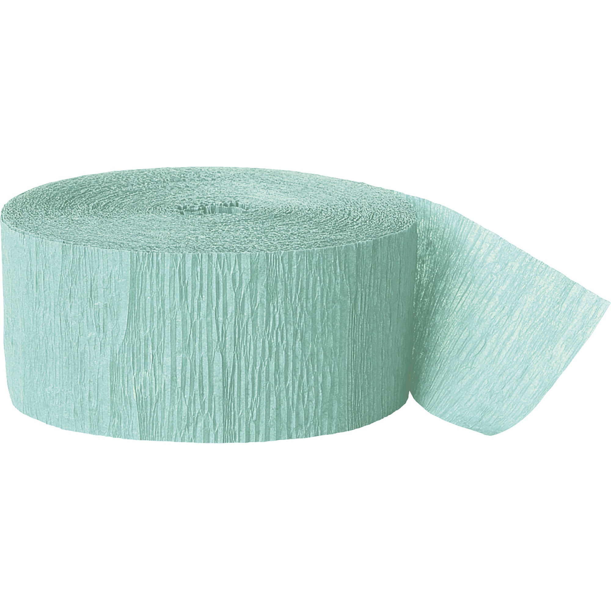 Banderole de Papier de Soie Menthe 81pi x1.75po