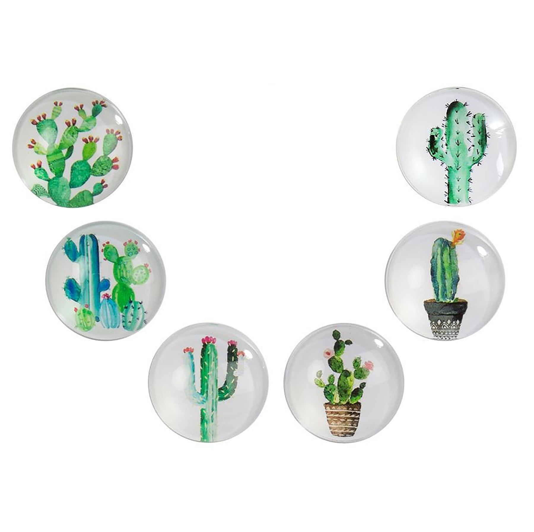 Round Glass Magnet Cactus 1.5in