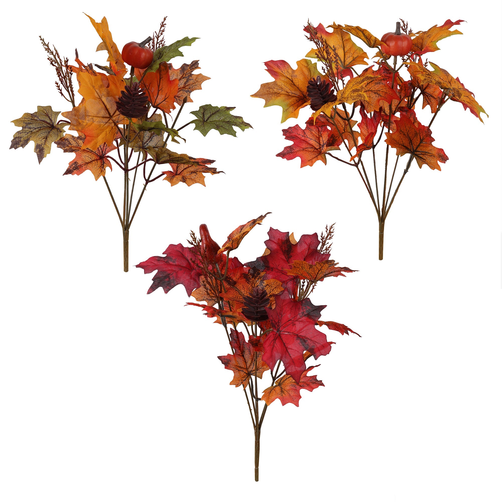 Maple Leaf Pumpkin Bush 13.5in