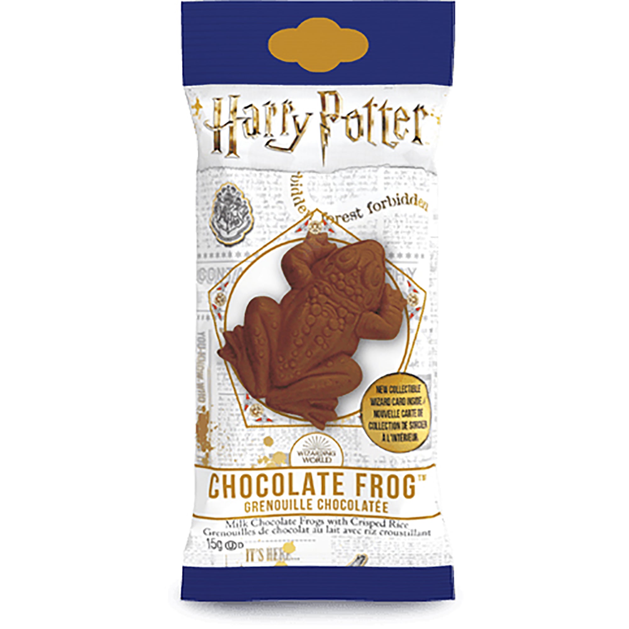 Harry Potter Chocolate Frog with Collectible Wizard Card 15g