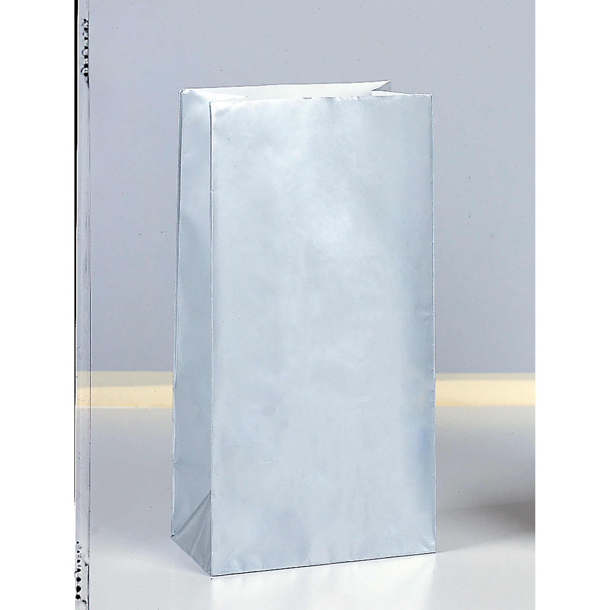 10 Party Paper Bags Silver Metallic 10H x 5W in